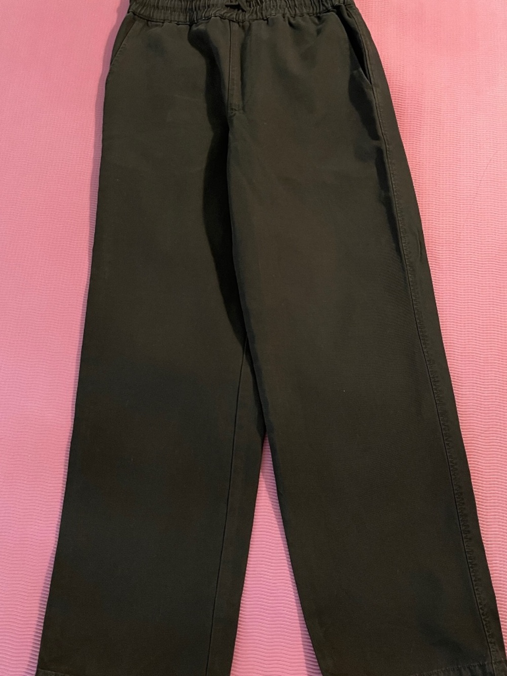 All Saints Elastic Waist Pants